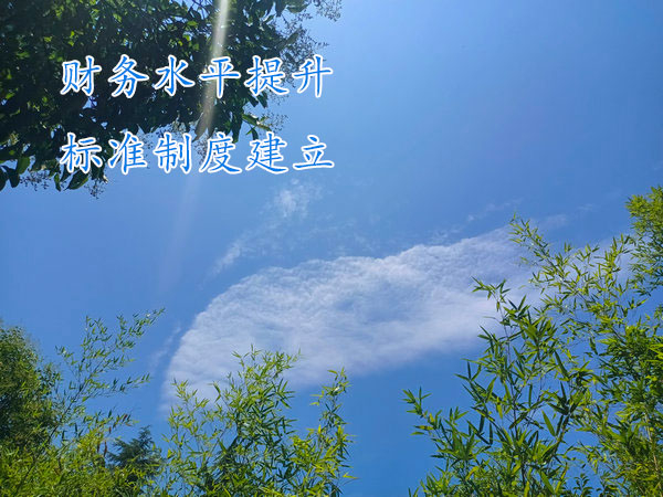 鄭州財(cái)務(wù)提升,鄭州提升企業(yè)財(cái)務(wù)服務(wù)水平