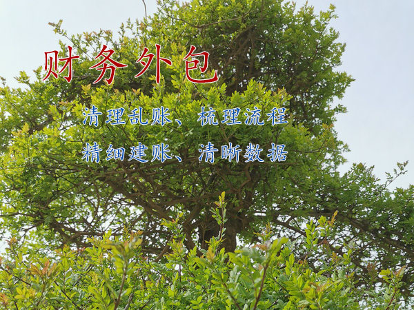 鄭州生產(chǎn)制造企業(yè)財務(wù)外包的好處是什么？