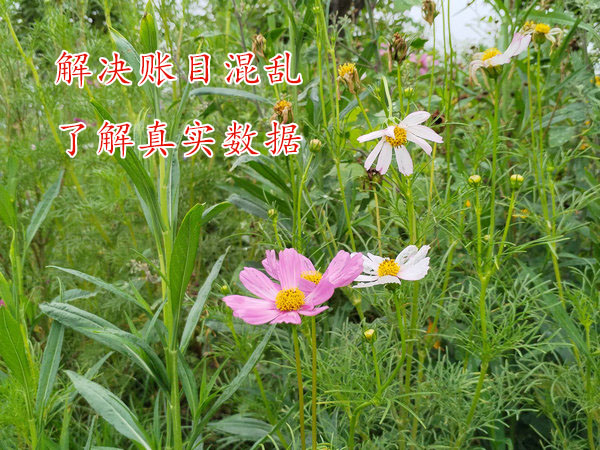 公司的財務(wù)賬目太亂怎么辦？